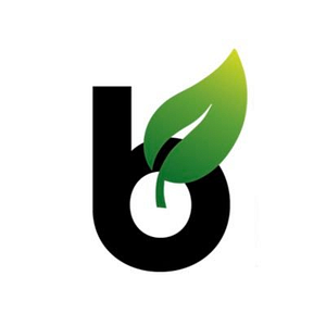Binoid CBD