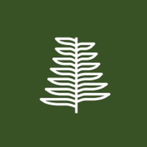 Jackfir